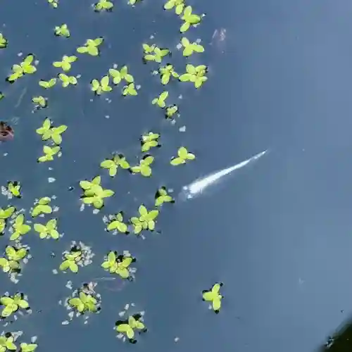 伊勢の国 四天王寺(三重県)