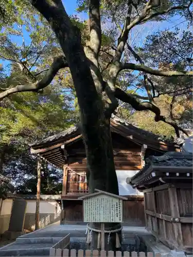 多賀神社（尾張多賀神社）(愛知県)