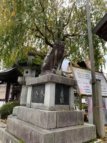 櫻山神社の狛犬