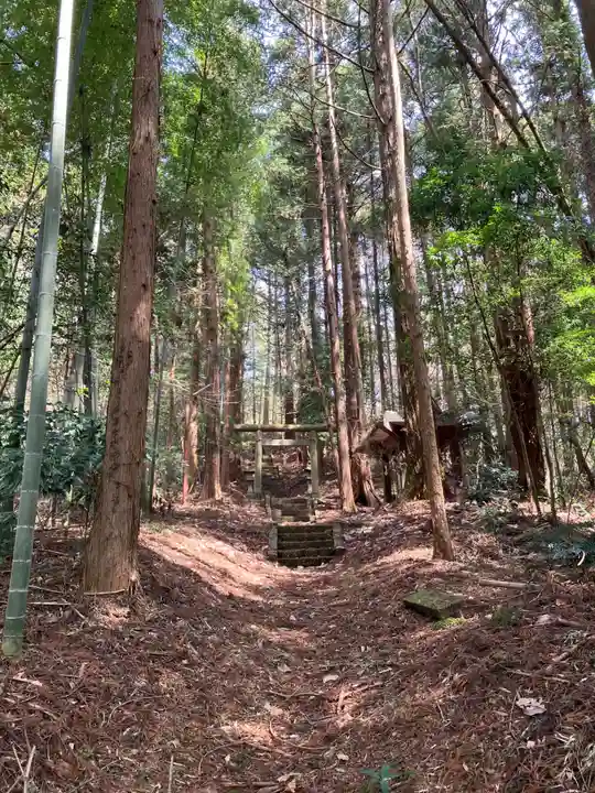 安沢湯泉神社の鳥居