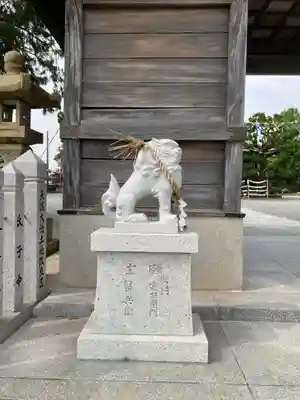 国安天満神社の狛犬