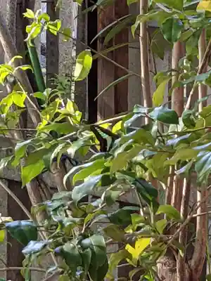 神明社(愛知県)