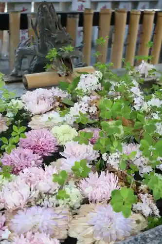 高円寺氷川神社(東京都)