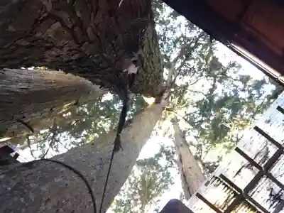 清高稲荷社のその他建物