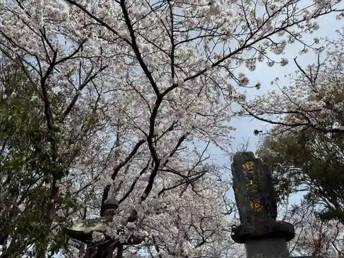 美奈宜神社(福岡県)