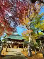 日吉神社の本殿・本堂