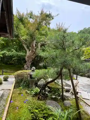 圓光寺(京都府)