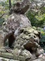 長浜神社の狛犬