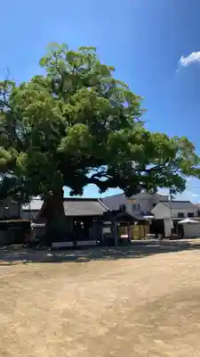 長尾寺(香川県)