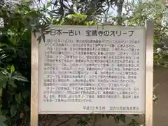 宝蔵寺の歴史