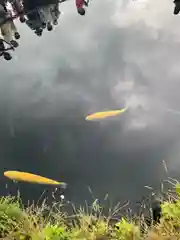 淺間神社（忍野八海）(山梨県)