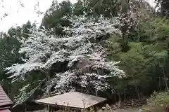 昌福寺の自然