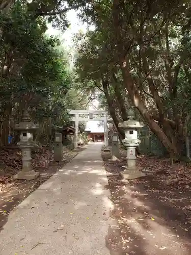 渡海神社の鳥居