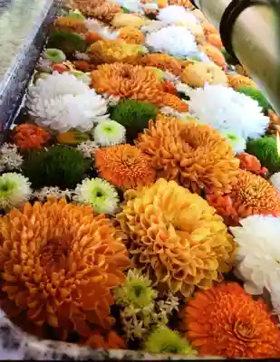 富岡八幡宮(東京都)