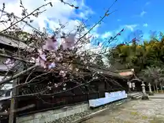 平野神社の自然