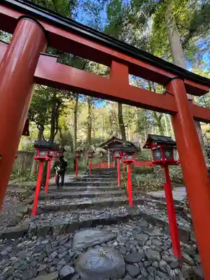 貴船神社結社(京都府)