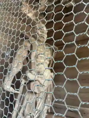 屋島寺(香川県)