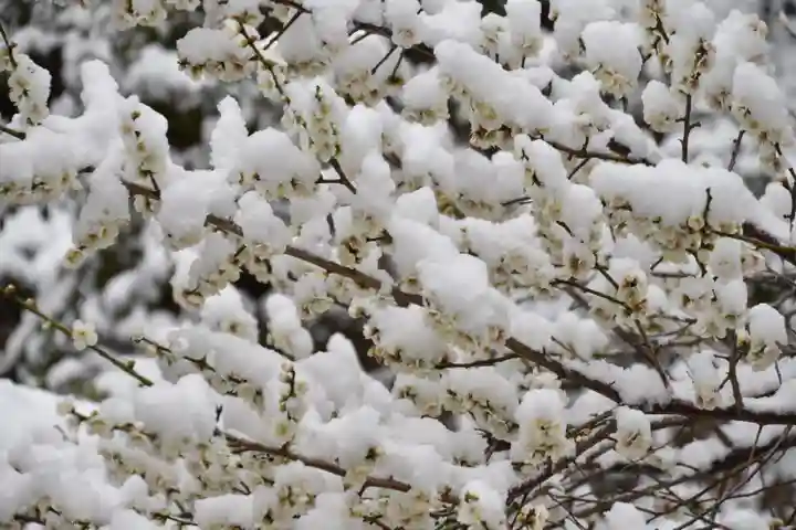 正安寺(神奈川県)