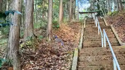 岩王神社(京都府)