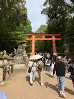 春日大社(奈良県)