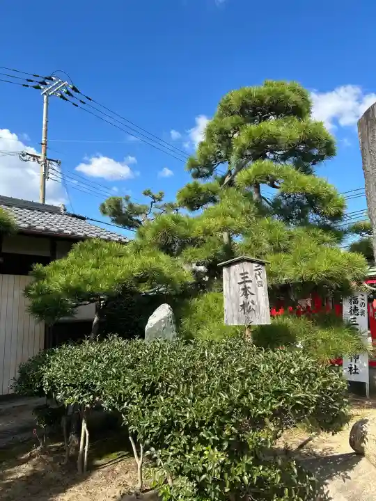 伊弉冊神社(兵庫県)