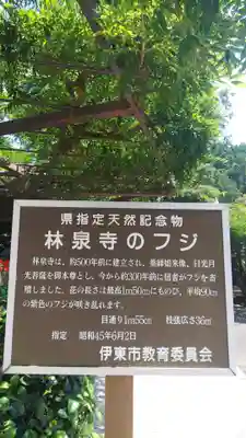 林泉寺のその他建物