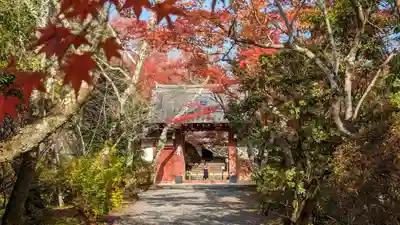 常照寺(京都府)