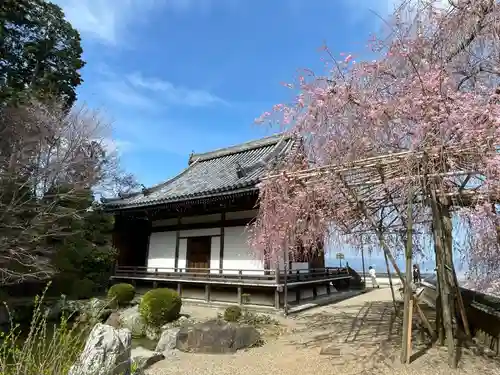 善峯寺(京都府)