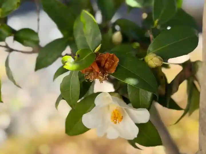 西方山極楽寺(岐阜県)