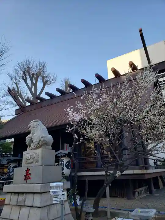 高円寺氷川神社の本殿・本堂