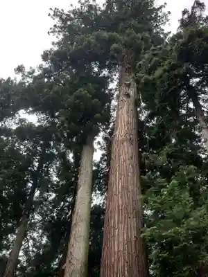 磯山神社(栃木県)