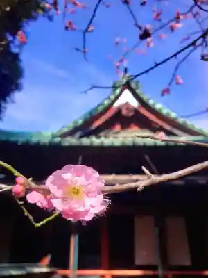 赤坂氷川神社(東京都)