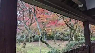 真正極楽寺(真如堂)(京都府)