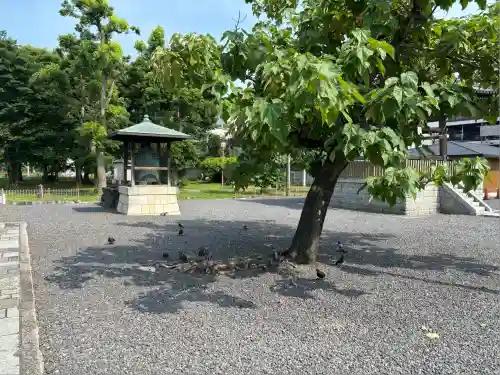 津観音(三重県)