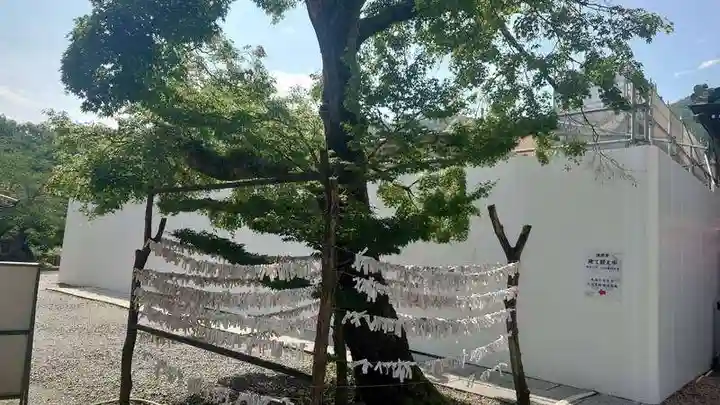 達磨寺(群馬県)