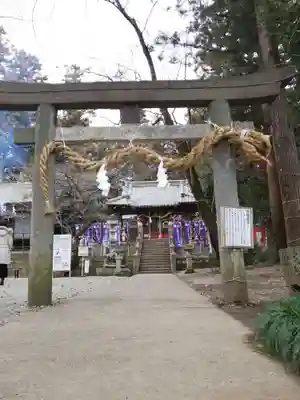 下野 星宮神社の鳥居