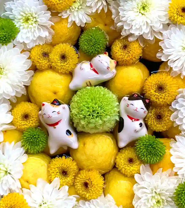 御井神社の鳥居