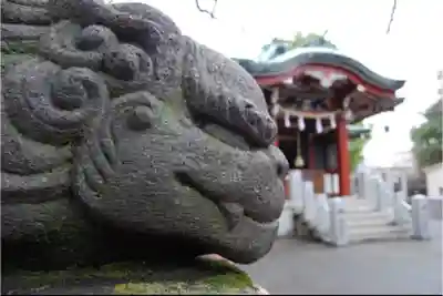 木場 洲﨑神社の狛犬