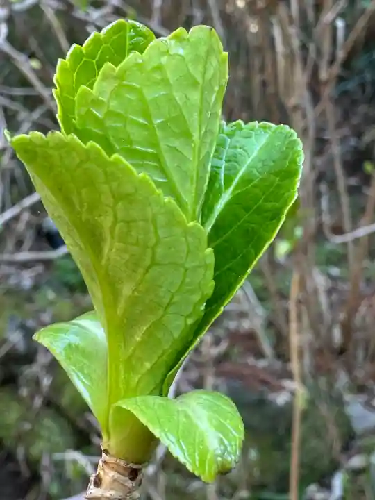 円覚寺(神奈川県)