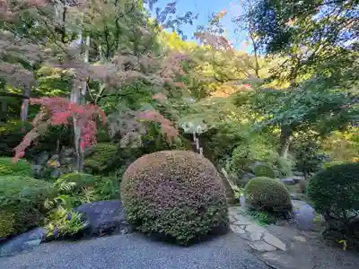 崇禅寺(群馬県)