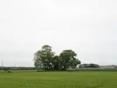 神明神社(千葉県)