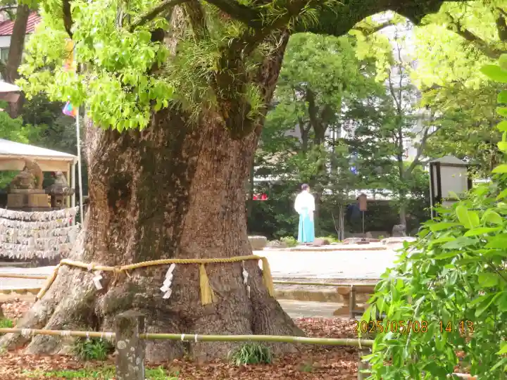 諫早神社(九州総守護 四面宮)(長崎県)