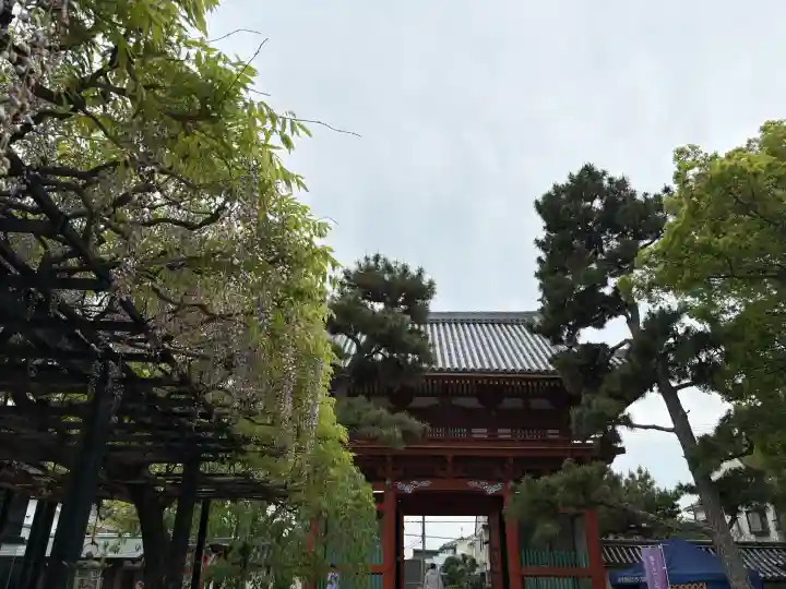 葛井寺の{uncategorized: "未分類", other: "その他", undefined: "問題あり", building: "その他建物", grave: "お墓", sacred_gate: "鳥居", guardian: "狛犬", statue: "像", buddha: "仏像", history: "歴史", nature: "自然", garden: "庭園", animal: "動物", pagoda: "塔", temizu: "手水舎", mountain_gate: "山門・神門", sanctuary: "本殿・本堂", subordinate: "末社・摂社", art: "芸術", scenery: "景色", jizo: "地蔵", ema: "絵馬", goshuin: "御朱印", omikuji: "おみくじ", items: "授与品その他", amulet: "お守り", goshuincho: "御朱印帳", eats: "食事", festival: "お祭り", votive_dance: "神楽", shichigosan: "七五三参", wedding: "結婚式", experience: "体験その他", initially: "初詣", around: "周辺", anti_infection: "感染症対策"}