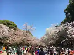 上野東照宮の周辺