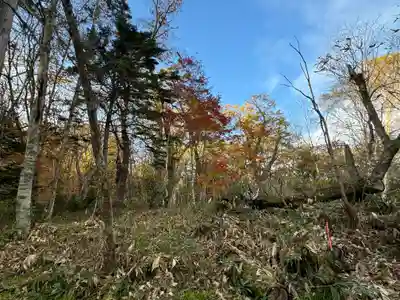 戸隠神社九頭龍社(長野県)