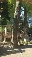 高円寺氷川神社のその他建物