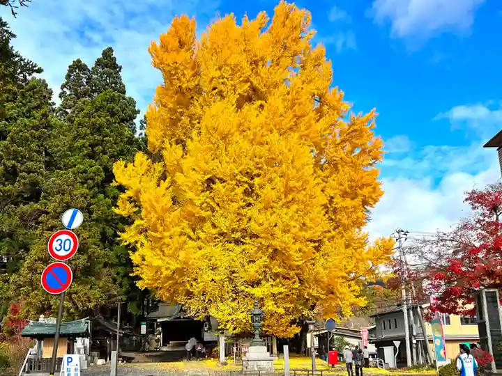 熊野大社(山形県)