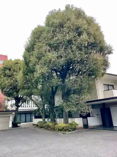 蓮乗寺(東京都)