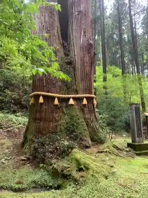 御岩神社(茨城県)