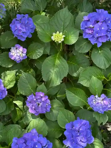 長野縣護國神社(長野県)